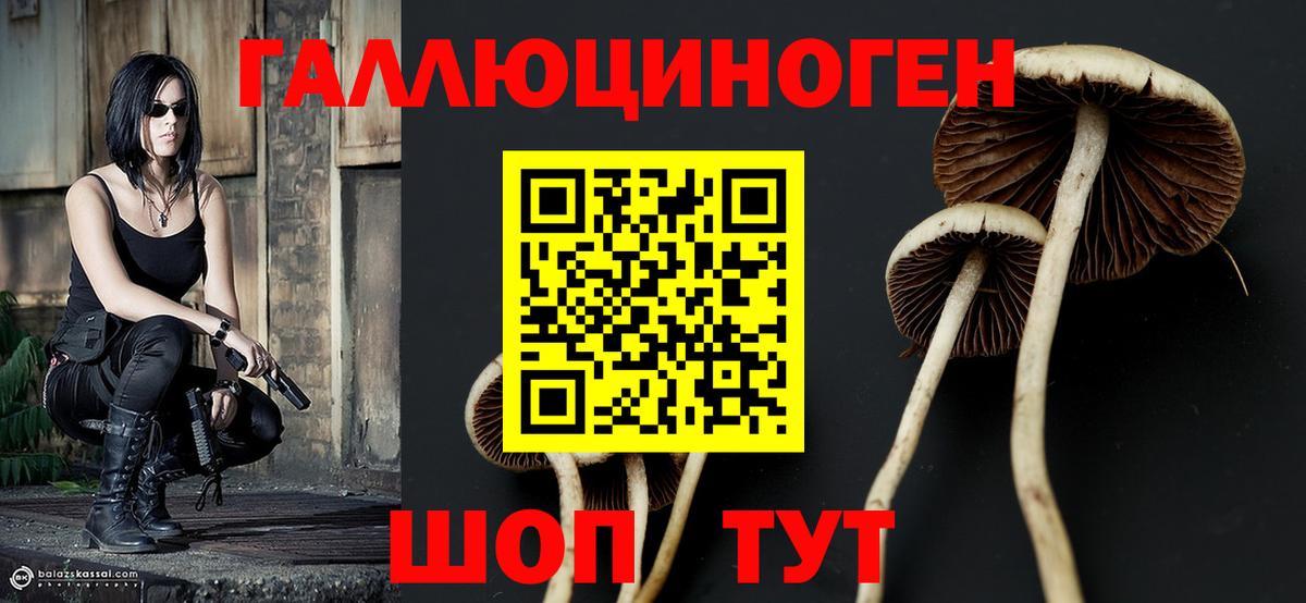 Галлюциногенные грибы Cubensis Дивногорск