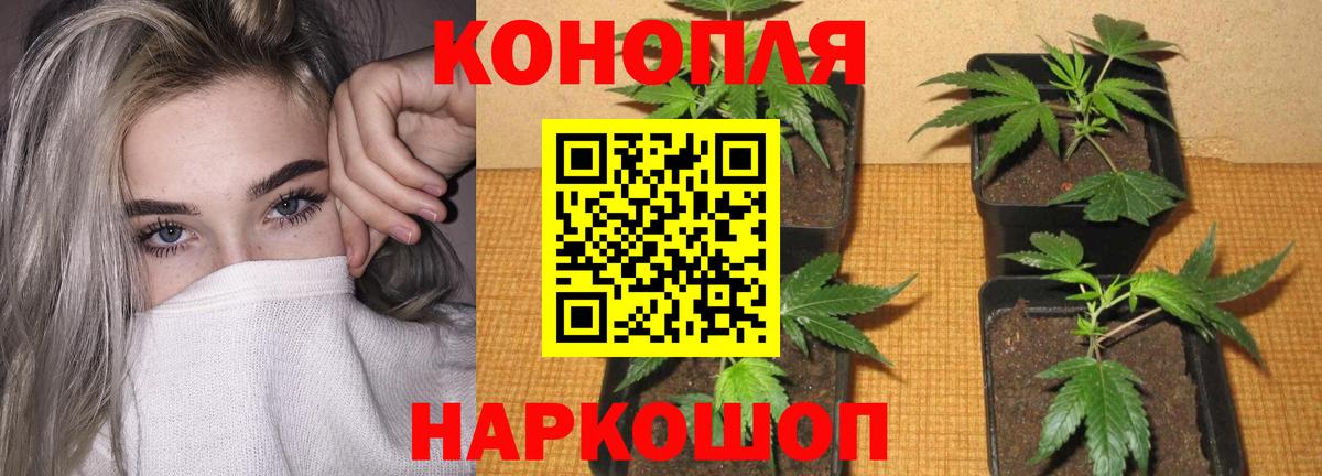 Дивногорск  Бошки марихуана Bruce Banner  Марихуана OG Kush  Вход с VPN  Конопля тримм  Марихуана OG Kush 
